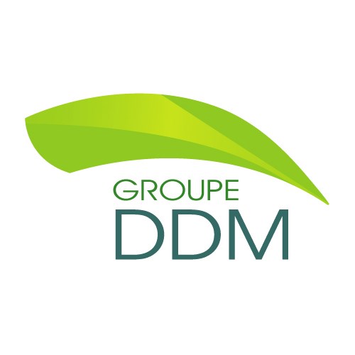 Le Groupe DDM